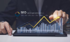 Search Engine Optimization